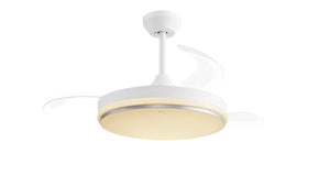 Ceiling Fan Light